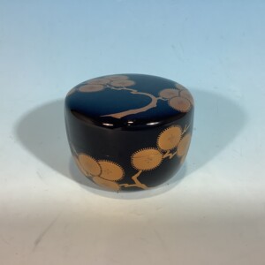 cha-09093