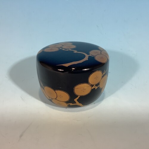 cha-09093