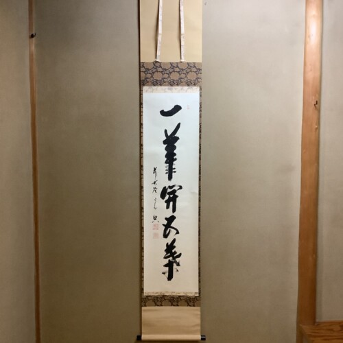 cha10164